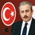 ''Yarı Başkanlık bize daha uygun'' ''Yarı Başkanlık bize daha uygun''