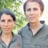 Bingöl'de öldürülen teröristin birçok katliamın talimatını verdiği ortaya çıktı