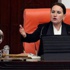 MHP'de Meral Akşener korkusu! MHP'de Meral Akşener korkusu!