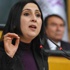 Figen Yüksekdağ'dan tepki çeken Fransa paylaşımı