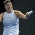 Kvitova'nın saldırganı bulunamadı