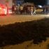 Düzce'deki konaklama alanına gübre dökülmesine ilişkin 3 kişi gözaltına alındı