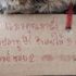 Kaybolan kedi eve borçlu döndü. Parayı sahibi ödeyecek Kaybolan kedi eve borçlu döndü. Parayı sahibi ödeyecek
