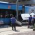 Van'da uyuşturucu operasyonu