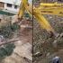 70 yıllık ağacı kesip, toprağın altına gömdüler