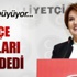 O il ve ilçe teşkilatları 'Akşener' dedi