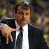 Sürpriz başvuru! Hikmet Karaman parkeye, Ergin Ataman ...