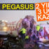 Pegasus uçaklarının üçüncü kazası