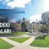 Diyasporadan ABD'de çirkin kampanya