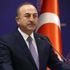 Bakan Çavuşoğlu, Sırbistan Meclis Başkanı ile görüştü