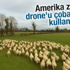 Drone bu kez çoban oldu Drone bu kez çoban oldu