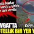 ﻿Manavgat tam otellik bir yer yandı