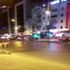 Esenyurt ta kırmızı ışıkta bekleyen köpek kameralara ... Esenyurt ta kırmızı ışıkta bekleyen köpek kameralara ...