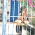 Murat Başoğlu'nun eşi Bodrum'daki villasına kapandı