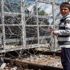 Yunanistan'da gözaltındaki mülteci çocuk sayısı endişe verici