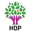 HDP'li vekil adayının oğlu gözaltında