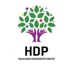 HDP: "Cumhuriyet kimsesizlerin kimsesi de olamaz"