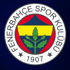 Fenerbahçe'de Yeni Malatyaspor kafilesi belli oldu! 6 eksik... Fenerbahçe'de Yeni Malatyaspor kafilesi belli oldu! 6 eksik...