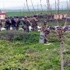 Şırnak'taki 3 kişinin öldüğü arazi çatışmasında sıcak gelişme!