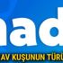 Kukumav kuşunun türü nedir? Kukumav kuşu hangi kuşun türüdür? Hadi 8 Eylül ipucu cevabı