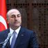 Dışişleri Bakanı Çavuşoğlu: Kıskanacağınıza Erdoğan'ı örnek alın