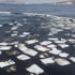 Foça'da denize sızan akaryakıt temizlendi