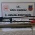 ﻿Ordu'da kaçak kazı operasyonu