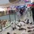 Çin’de AVM’de tekvandocu kavgası Çin’de AVM’de tekvandocu kavgası