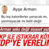 Ayşe Arman'a göre AK Parti istikrarı mahvetti