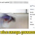 Bedelli için 'acil' akvaryum balığı bile satıyorlar