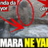 ﻿Marmara ne yapsın