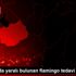 Aksaray da yaralı bulunan flamingo tedavi altına alındı Aksaray da yaralı bulunan flamingo tedavi altına alındı