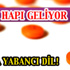 Müthiş maç Liverpool'un! Müthiş maç Liverpool'un!