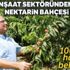 İnşaat sektöründen ayrıldı, nektarin bahçesi kurdu İnşaat sektöründen ayrıldı, nektarin bahçesi kurdu
