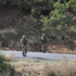 Tunceli'de hain pusu: 2 asker şehit