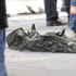 İstanbul'da üç bomba birden: Biri patladı, ikisi etkisiz hale getirildi İstanbul'da üç bomba birden: Biri patladı, ikisi etkisiz hale getirildi