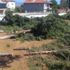 Meteorolojik ölçümleri daha iyi yapmak için ağaçları kestiler