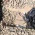 PKK'dan tren yoluna bombalı tuzak
