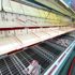 İngiliz halkı, korona nedeniyle marketlere akın etti