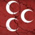 MHP, o meclis üyesini disipline sevk edecek