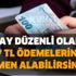 Milyonlara müjde! Maaş alıyor gibi her ay düzenli olarak 967 TL ödemelerinizi hemen alabilirsiniz!