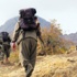 PKK'ya darbe üstüne darbe!