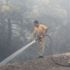 Menderes'teki orman yangınıyla ilgili önemli gelişme: O şahıs tutuklandı