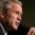 George W. Bush: Onlar vatanseverler