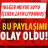 Avusturya Almanya'nın casusluk iddialarını araştırıyor Avusturya Almanya'nın casusluk iddialarını araştırıyor
