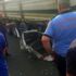 Kahramanmaraş'ta trafik kazası: 1 ölü, 7 yaralı Kahramanmaraş'ta trafik kazası: 1 ölü, 7 yaralı