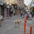 Viranşehir’deki Başı Boş Köpekler Korkutuyor