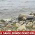 İstanbul Caddebostan sahilinde kanalizasyon skandalı |Video