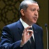 Erdoğan 2 kanuna daha onay verdi