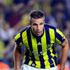 Van Persie'den sakatlık açıklaması